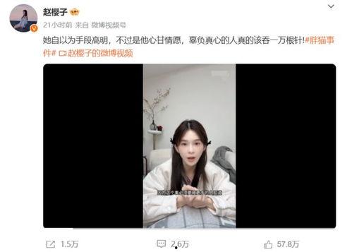 胖猫明星网红叫什么,萌态可掬的互联网宠儿