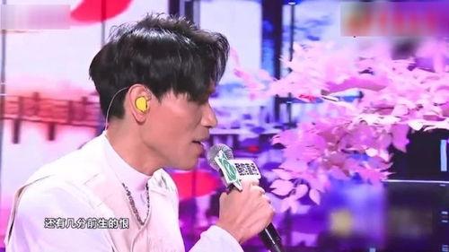 明星网红翻车现场,网络舆论的狂欢与反思
