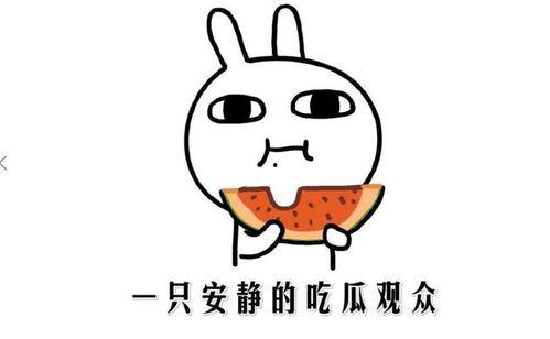 抖音网红黑料吃瓜在线,吃瓜群众在线围观娱乐圈风云
