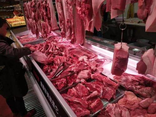 今日瓜州猪肉价,今日行情一览