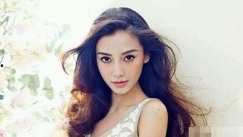 如何认识明星网红,从现象到本质的深度认知