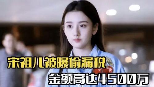 有税务问题的明星网红,揭秘娱乐圈背后的财务迷局