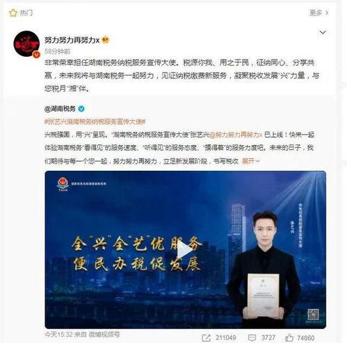 有税务问题的明星网红,揭秘娱乐圈背后的财务迷局