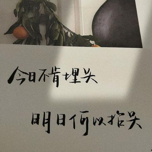 今日摘瓜文案句子图片,瓜熟蒂落，尽享甜蜜时光