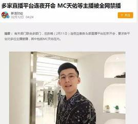 明星网红被拘留,引发社会关注与热议