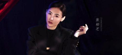 火花的明星网红叫什么,揭秘网红明星的璀璨人生