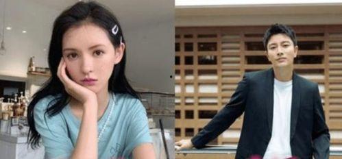 老人对明星网红的看法,爱与争议交织的娱乐圈观察