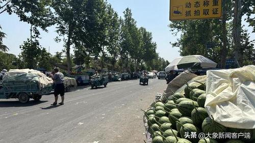 郑州吊瓜价格今日行情,波动中寻稳，市场动态一览