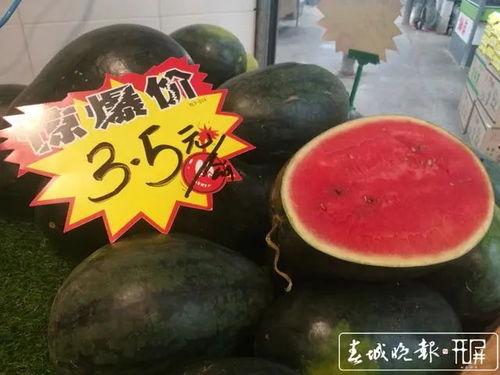 今日大黑瓜批发价格,行情波动，市场动态一览