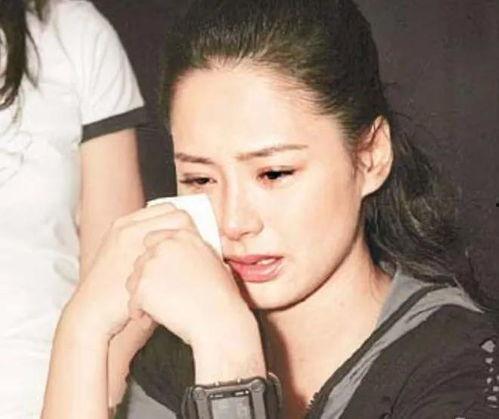 台湾明星网红凤梨,台湾网红的璀璨星途与粉丝心路历程