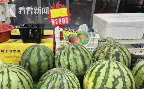 小瓜价格今日价一斤,一斤行情动态解析