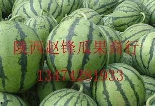 阿拉善哈密瓜今日价格行情,价格行情一览无余”