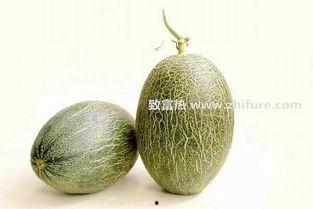 阿拉善哈密瓜今日价格行情,价格行情一览无余”
