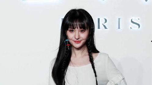明星网红 逃税事件真相,真相与反思