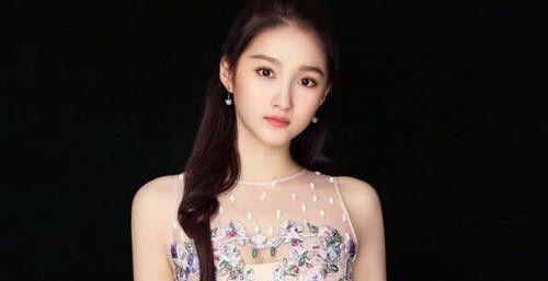 明星网红 逃税事件真相,真相与反思